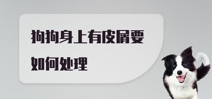 狗狗身上有皮屑要如何处理