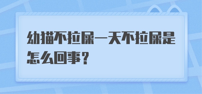 幼猫不拉屎一天不拉屎是怎么回事？