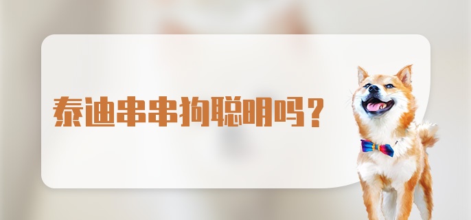 泰迪串串狗聪明吗？