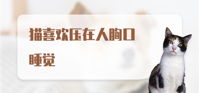 猫喜欢压在人胸口睡觉