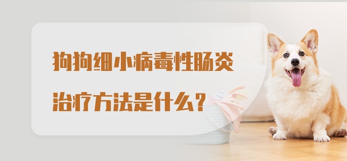 狗狗细小病毒性肠炎治疗方法是什么？