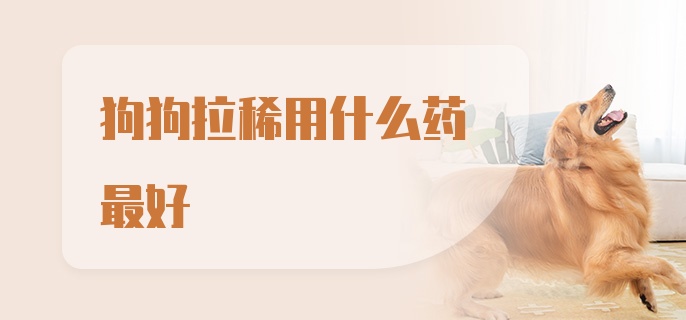 狗狗拉稀用什么药最好