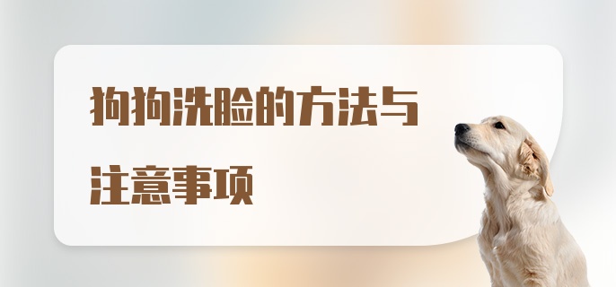 狗狗洗脸的方法与注意事项