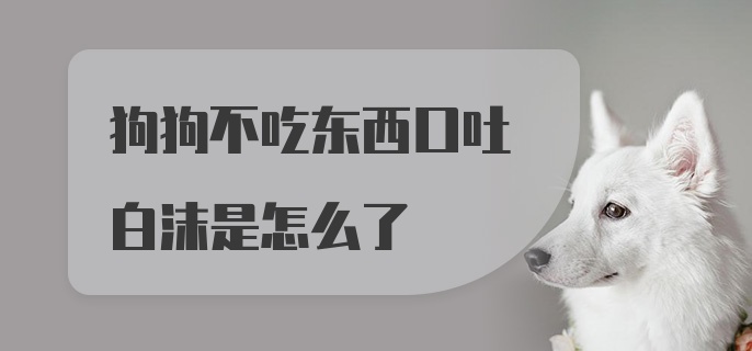 狗狗不吃东西口吐白沫是怎么了