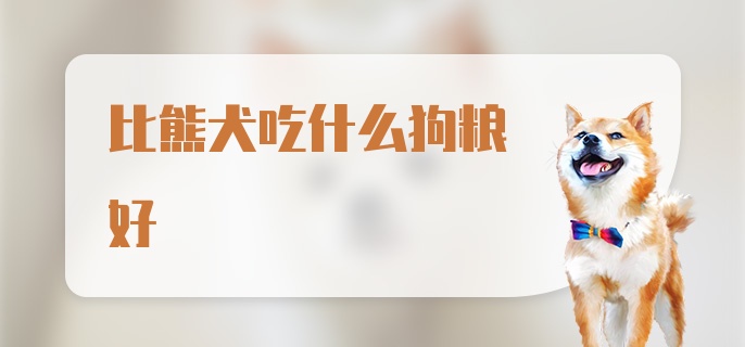 比熊犬吃什么狗粮好