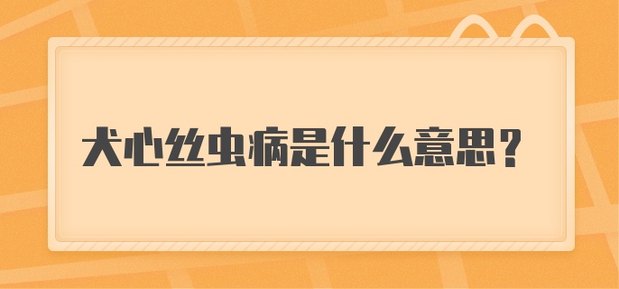 犬心丝虫病是什么意思？