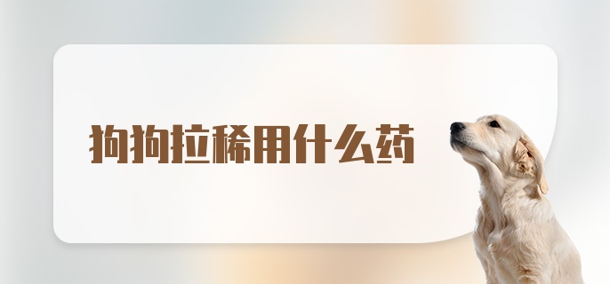 狗狗拉稀用什么药