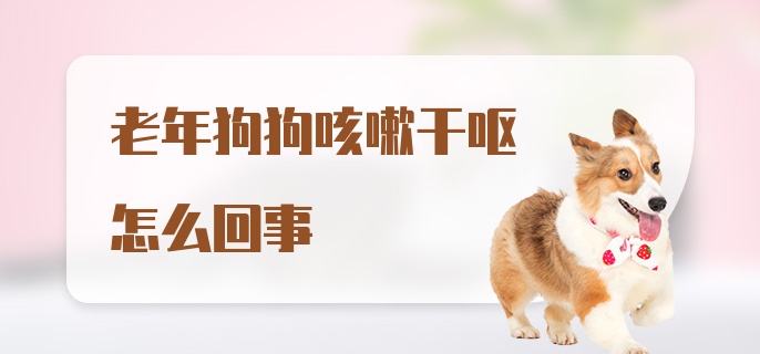 老年狗狗咳嗽干呕怎么回事