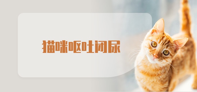 猫咪呕吐闭尿