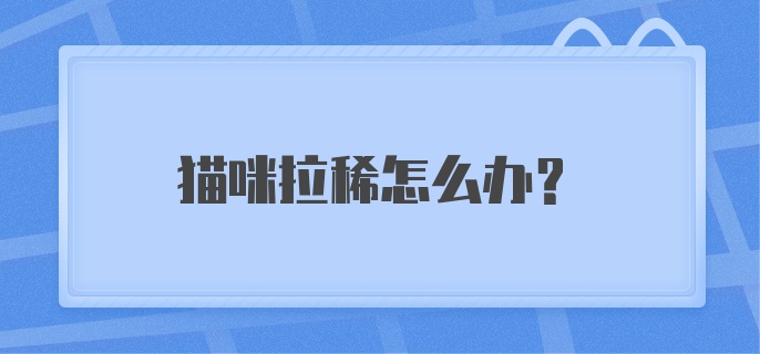 猫咪拉稀怎么办？