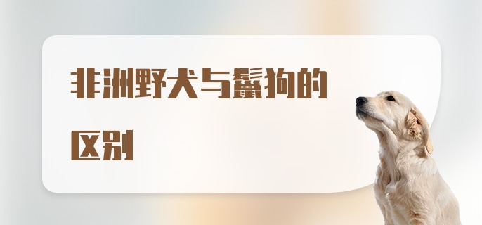 非洲野犬与鬣狗的区别