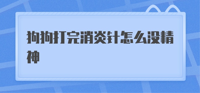 狗狗打完消炎针怎么没精神