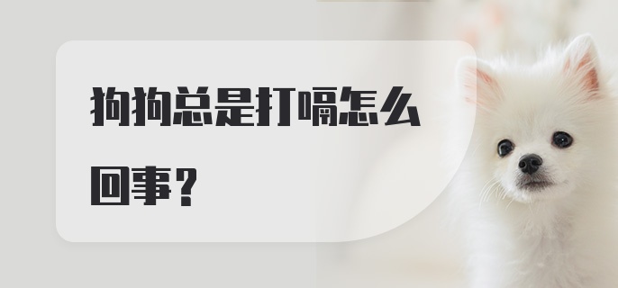 狗狗总是打嗝怎么回事？