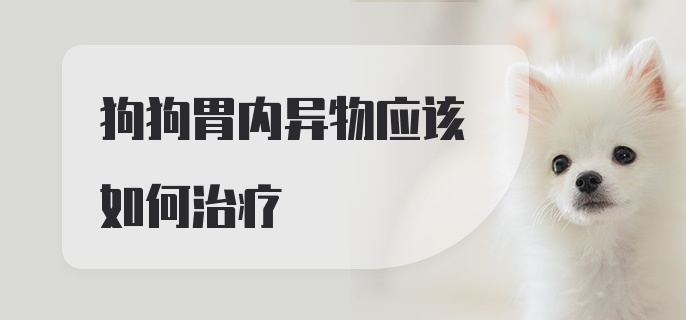 狗狗胃内异物应该如何治疗