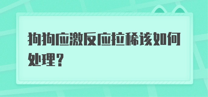 狗狗应激反应拉稀该如何处理？