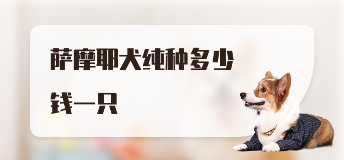 萨摩耶犬纯种多少钱一只