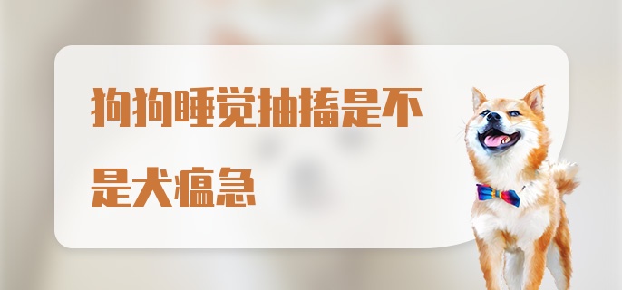 狗狗睡觉抽搐是不是犬瘟急