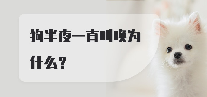 狗半夜一直叫唤为什么？