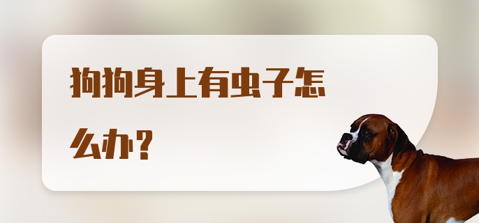 狗狗身上有虫子怎么办？