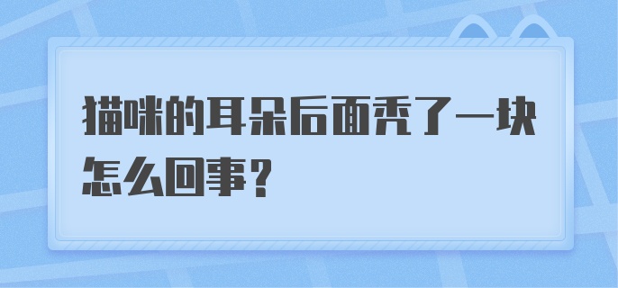 猫咪的耳朵后面秃了一块怎么回事？