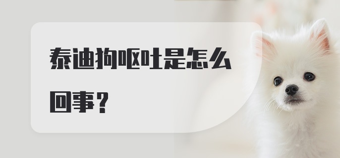 泰迪狗呕吐是怎么回事？