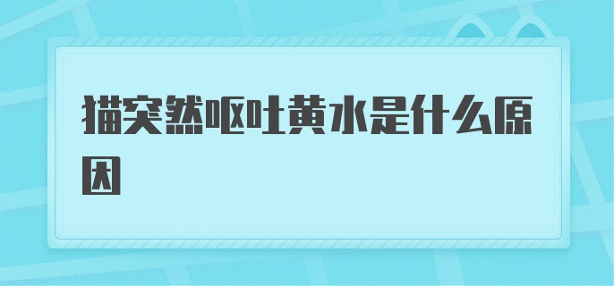 猫突然呕吐黄水是什么原因