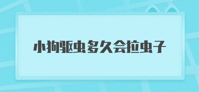 小狗驱虫多久会拉虫子