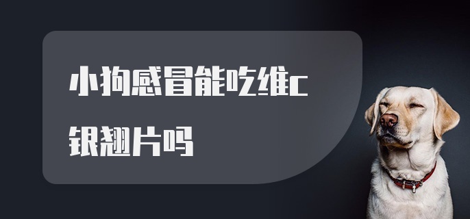 小狗感冒能吃维c银翘片吗