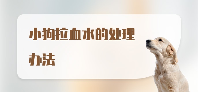 小狗拉血水的处理办法