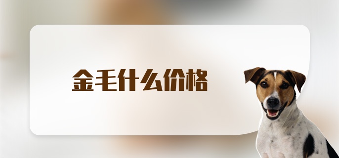 金毛什么价格