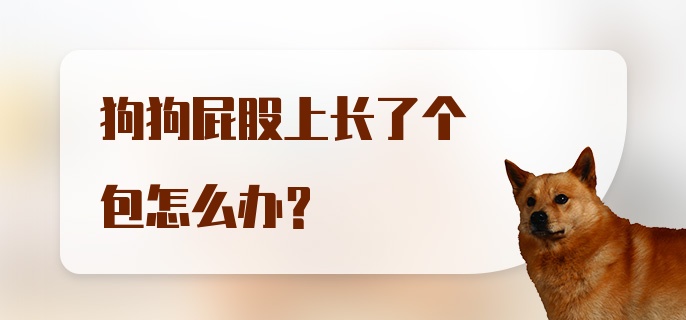 狗狗屁股上长了个包怎么办？