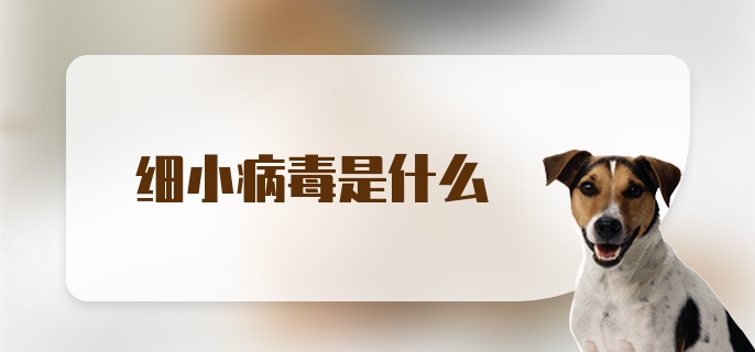 细小病毒是什么