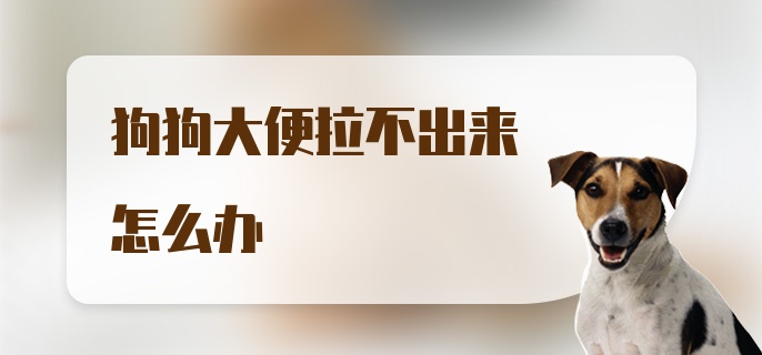 狗狗大便拉不出来怎么办