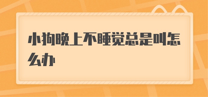 小狗晚上不睡觉总是叫怎么办