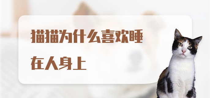 猫猫为什么喜欢睡在人身上