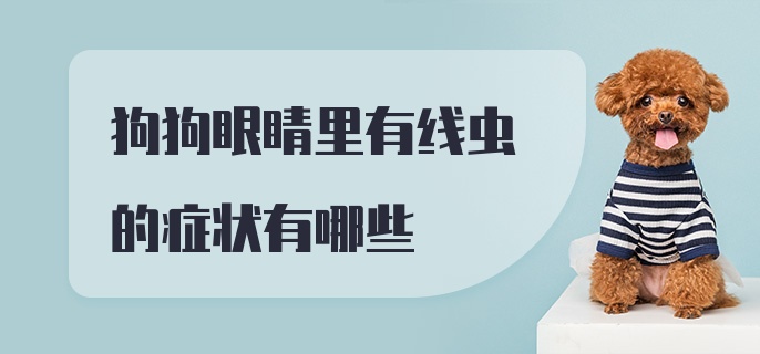 狗狗眼睛里有线虫的症状有哪些