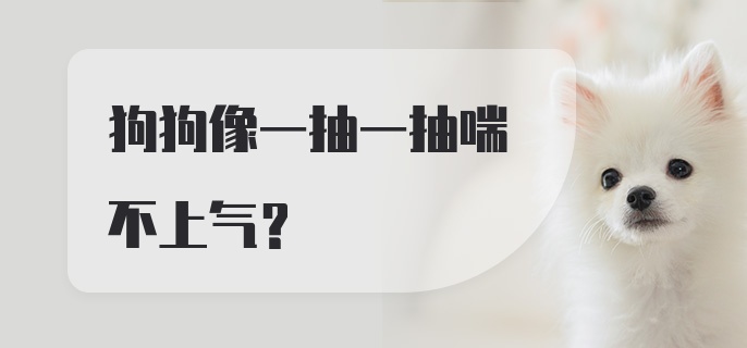 狗狗像一抽一抽喘不上气？