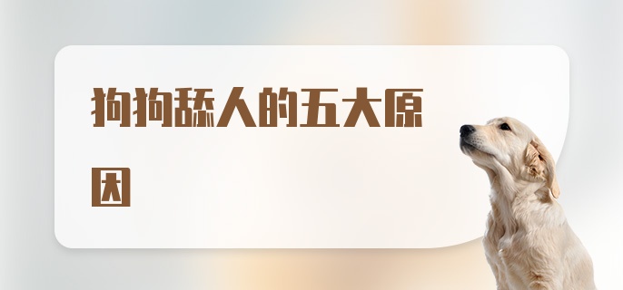 狗狗舔人的五大原因