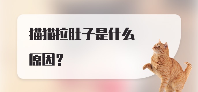 猫猫拉肚子是什么原因？