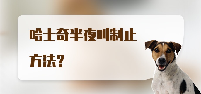 哈士奇半夜叫制止方法？