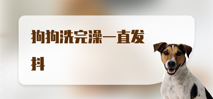 狗狗洗完澡一直发抖