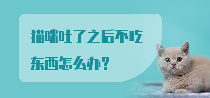 猫咪吐了之后不吃东西怎么办?