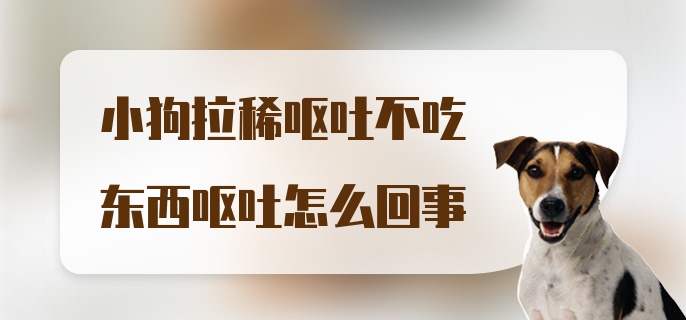 小狗拉稀呕吐不吃东西呕吐怎么回事