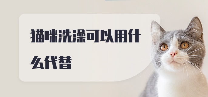 猫咪洗澡可以用什么代替