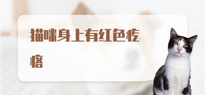 猫咪身上有红色疙瘩