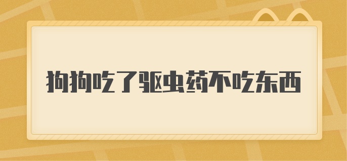 狗狗吃了驱虫药不吃东西