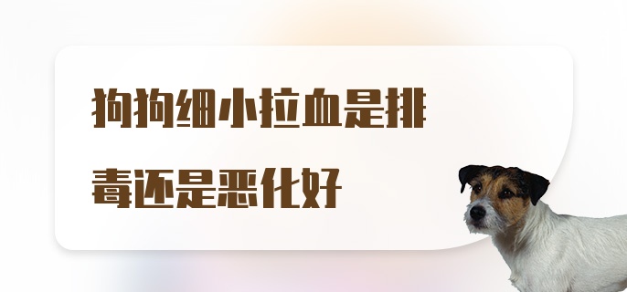 狗狗细小拉血是排毒还是恶化好