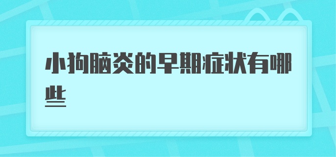 小狗脑炎的早期症状有哪些