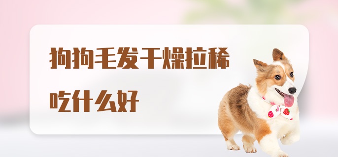 狗狗毛发干燥拉稀吃什么好