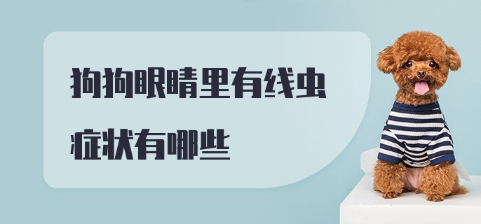 狗狗眼睛里有线虫症状有哪些